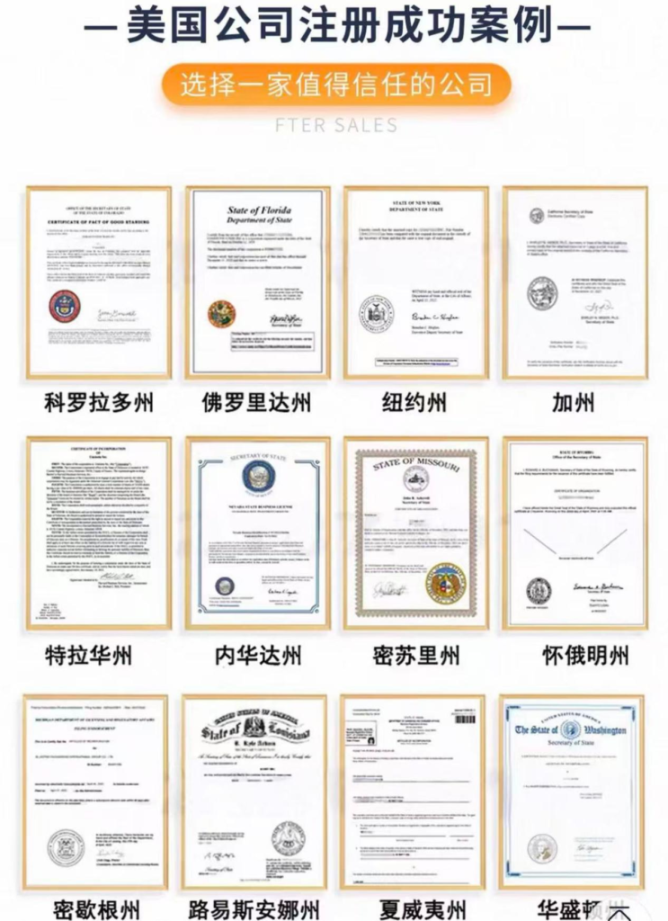 图片6